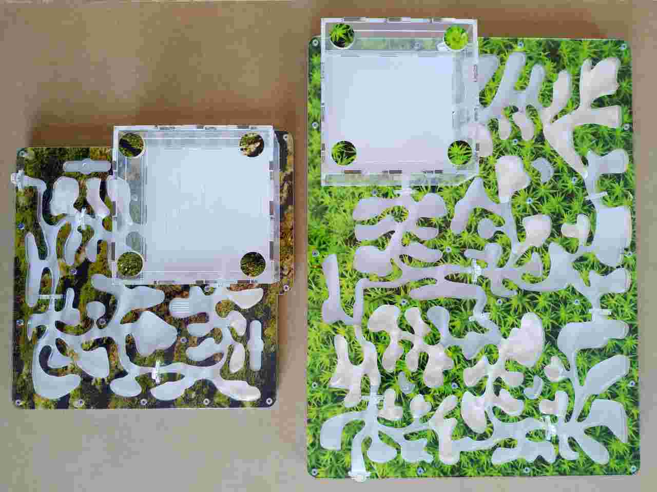 goods main image